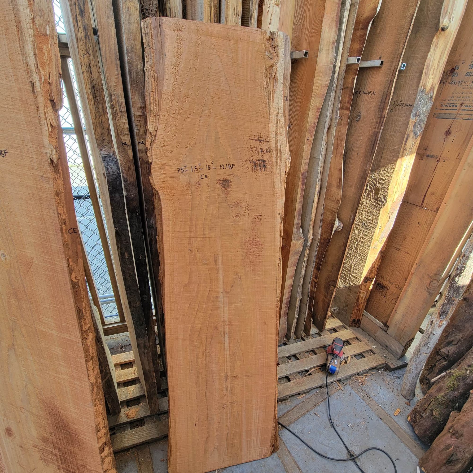 Western Red Cedar